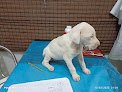 Veterinaria Los Dos Amigos