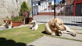 Negocio Veterinaria Mascotas San Cristóbal