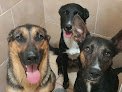 Negocio Veterinaria Mascotitas Traviesas