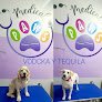 Negocio Veterinaria Medical Paws
