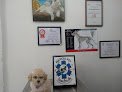 Negocio Veterinaria Medical Pet Cuautitlan