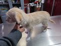 Negocio Veterinaria Mvz René Estrada