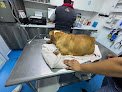 Veterinaria Mykan