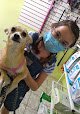 Negocio Veterinaria Pequeños Amigos
