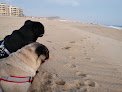Negocio Veterinaria Perros Y Gatos Del Sur