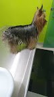 Negocio Veterinaria Pet Care 24 Horas