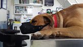 Veterinaria Presidentes