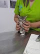 Veterinaria Sabidog