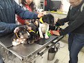 Negocio Veterinaria San Francisco De Asis