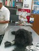 Veterinaria Satelite