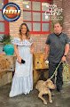 Negocio Veterinario A Domicilio Condesa Cdmx