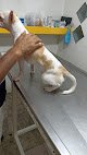 Negocio Veterinario Al Aeropuerto/ Servicio 24 Horas/ Servicio Al Aeropuerto/ Veterinario
