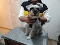 Negocio Veterinario Nocturno
