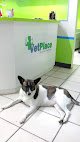 Negocio Vetplace Servicios Veterinarios