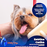 Negocio Waterdogs Hospital Veterinario Especializado