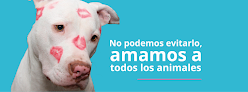 Wau Las Américas