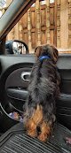 Negocio Woof Clínica Veterinaria