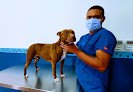 Negocio Zeus Clínica Veterinaria - Suc. Paseo Del Prado