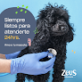 Negocio Zeus Clínica Veterinaria - Suc. San Miguelito