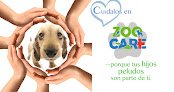 Zoocare Matriz